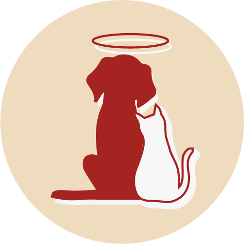 Pet Euthanasia Icon