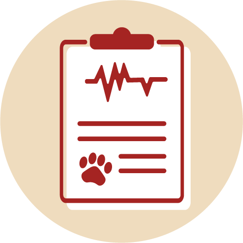 Pet Laboratory