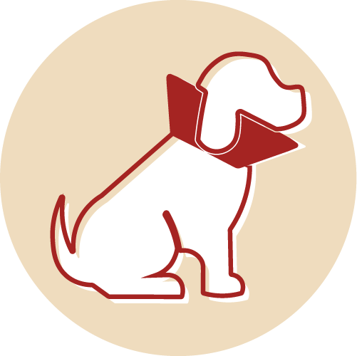 Pet Orthopedic Surgery Icon