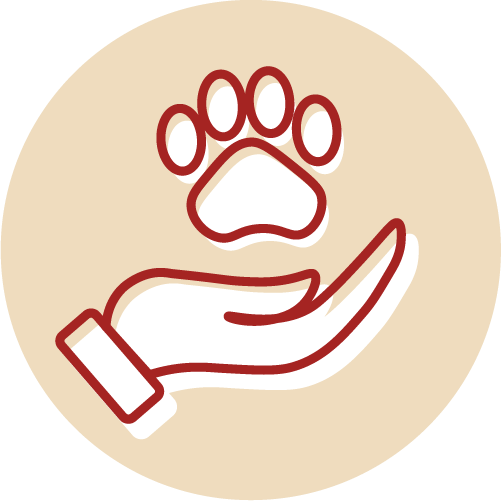Senior Pet Care Icon